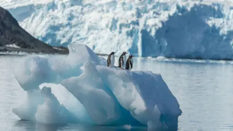 American teen pilot detained on small island in Antarctica
