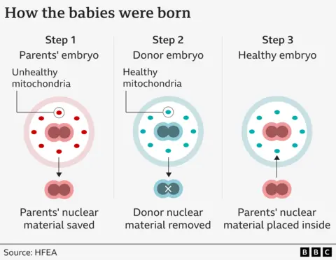 三人DNA生育婴儿，遗传疾病得以根除