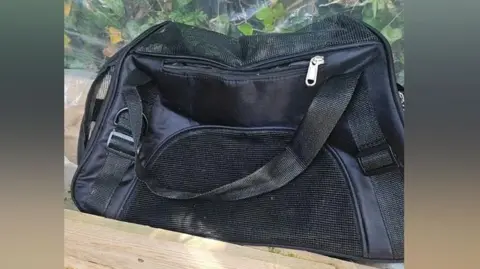 少年因虐待和杀害小猫被拘留