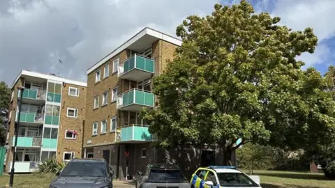 南安普顿女子坠楼身亡 警方展开搜捕行动