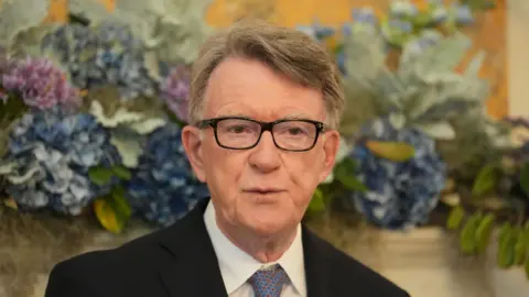 工党资深议员表示未能察觉或忽视曼德尔逊的警示信号