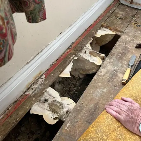 政府方案保温成千上万住宅出现问题，监管机构称需修复